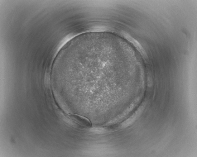 X0000115481473200911271318