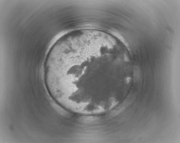 X0000115481474200911271318