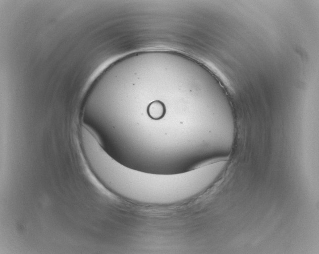 X0000115481476200911271318