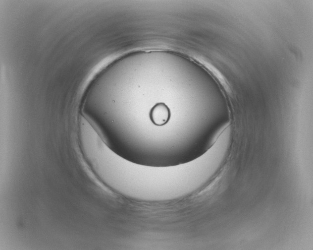 X0000115481477200911271318