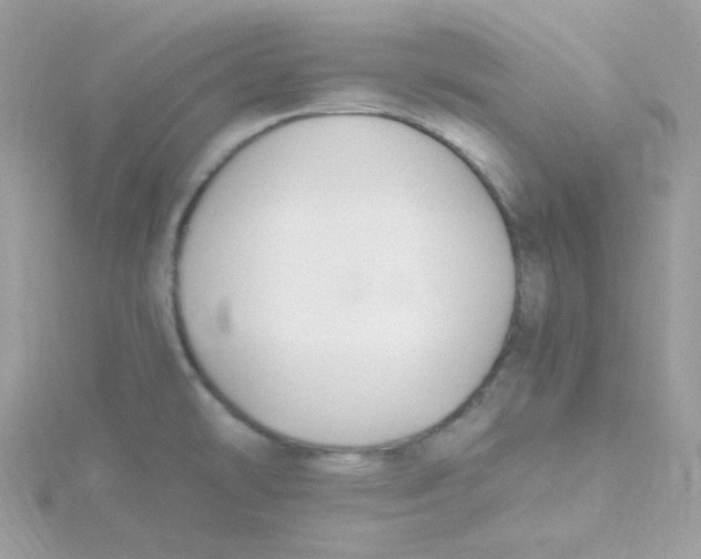 X0000115481478200911271318