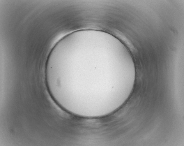 X0000115481479200911271318