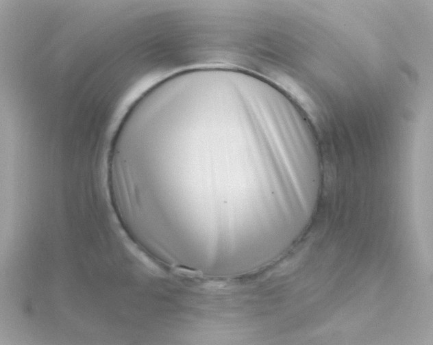 X0000115481480200911271318