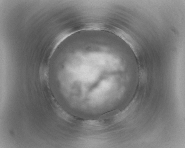 X0000115481481200911271318