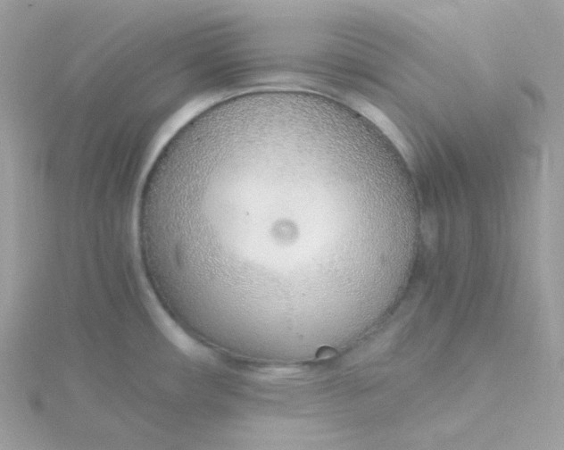 X0000115481482200911271318