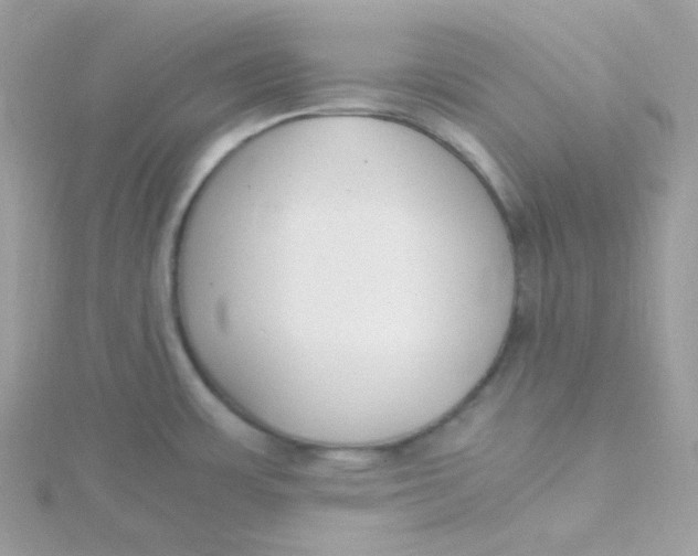 X0000115481483200911271318