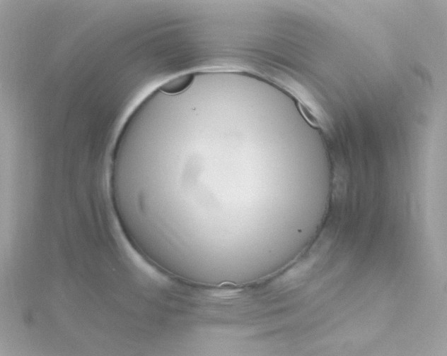 X0000115481484200911271318