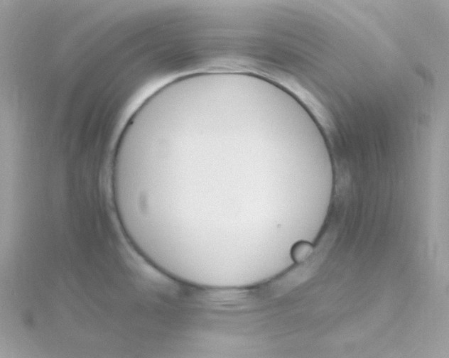 X0000115481486200911271318