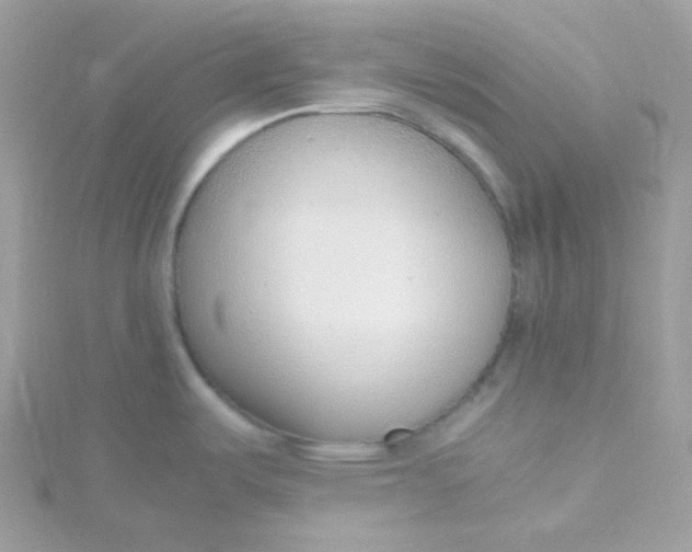 X0000115481487200911271318