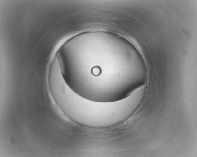 X0000115481488200911271318