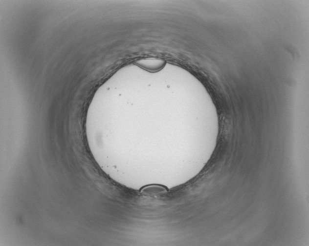 X0000115481489200911271317