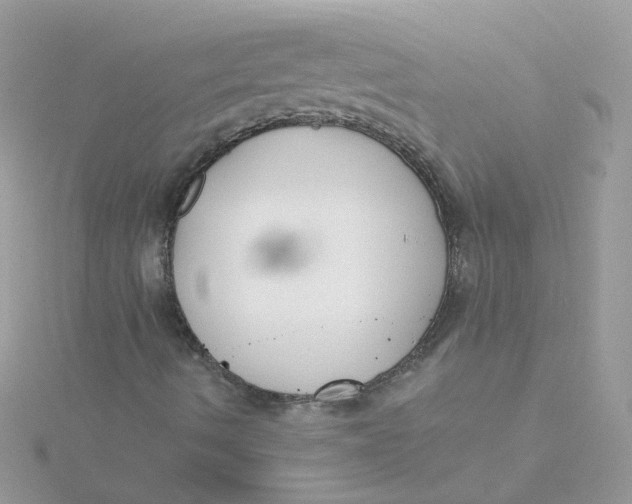 X0000115481490200911271317