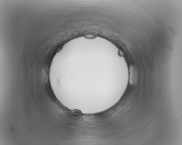 X0000115481491200911271317