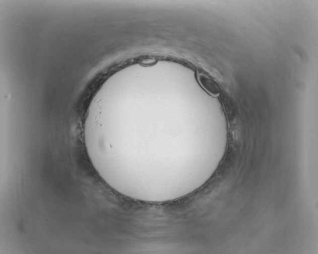 X0000115481495200911271317