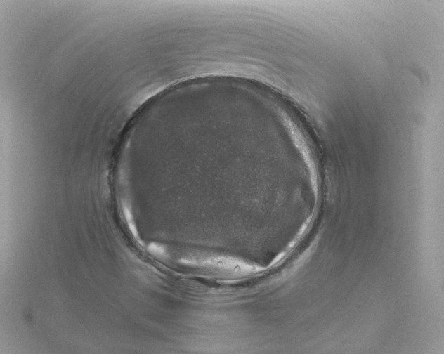 X0000115481497200911271317