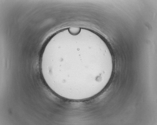 X0000115481498200911271317