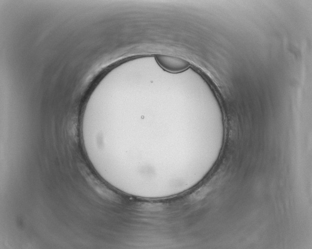 X0000115481499200911271317