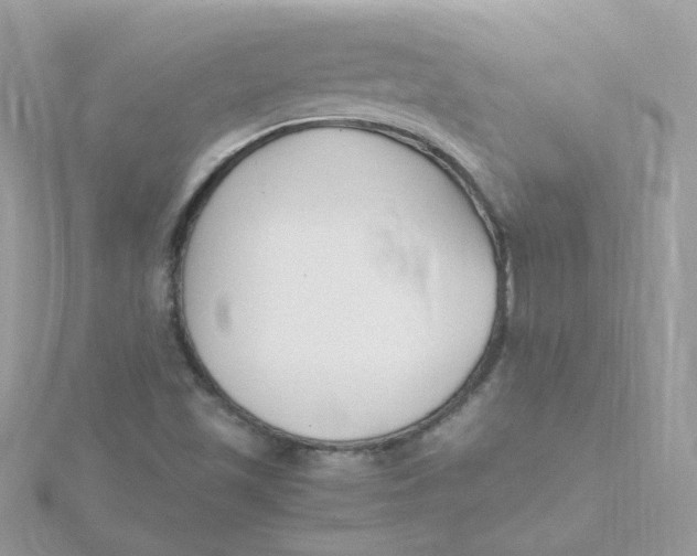 X0000115481501200911271317