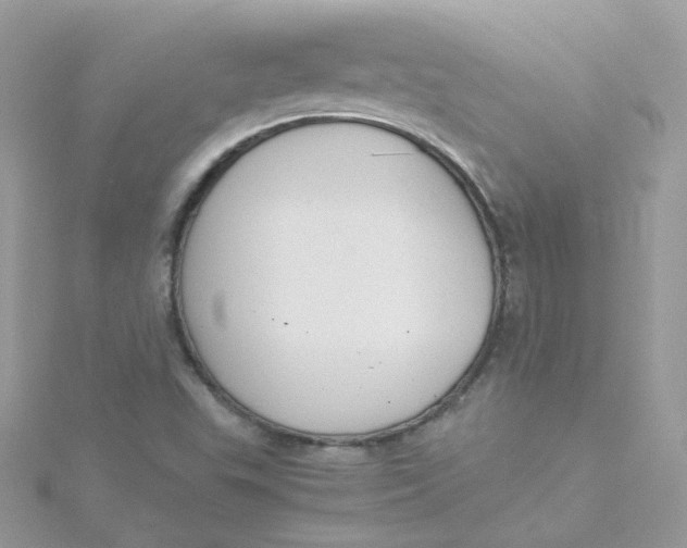 X0000115481503200911271317