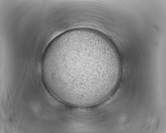 X0000115481505200911271318