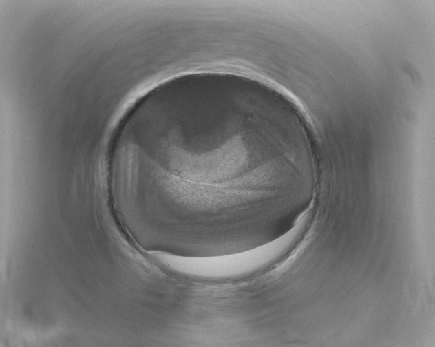 X0000115481506200911271318