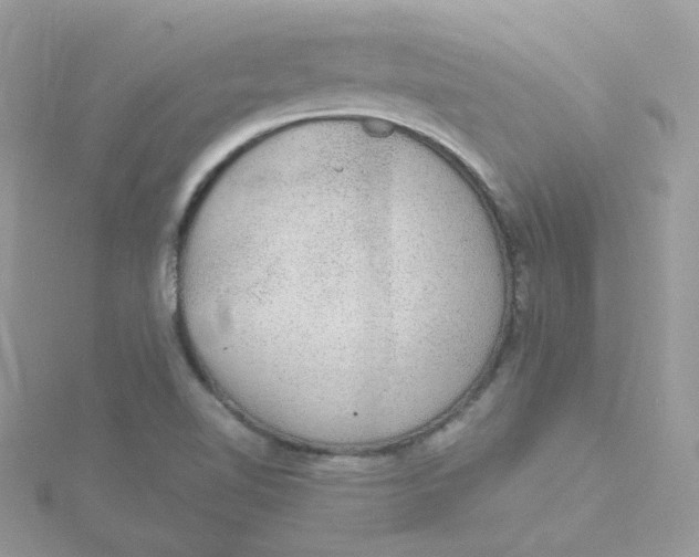 X0000115481510200911271318