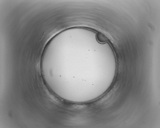 X0000115481513200911271318