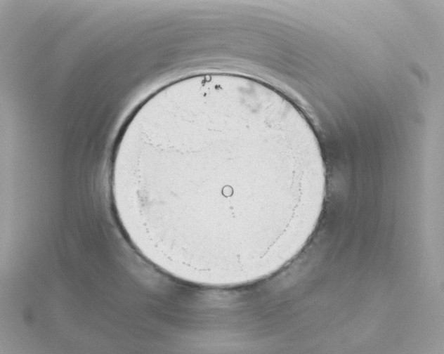 X0000115481514200911271318