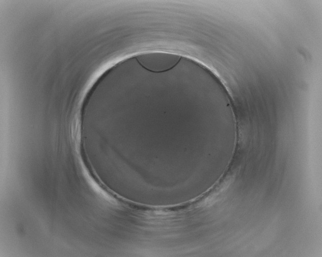 X0000115481515200911271318