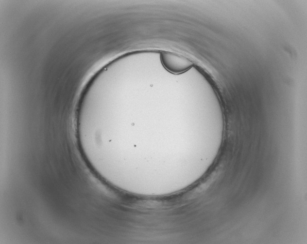 X0000115481517200911271318