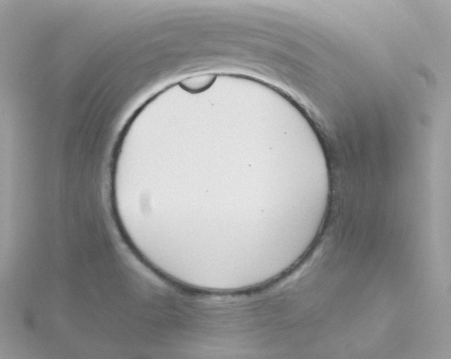 X0000115481518200911271318