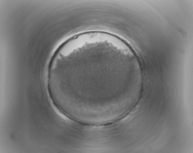 X0000115481519200911271318