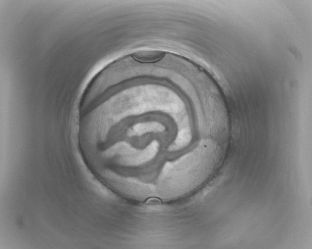 X0000115481522200911271318