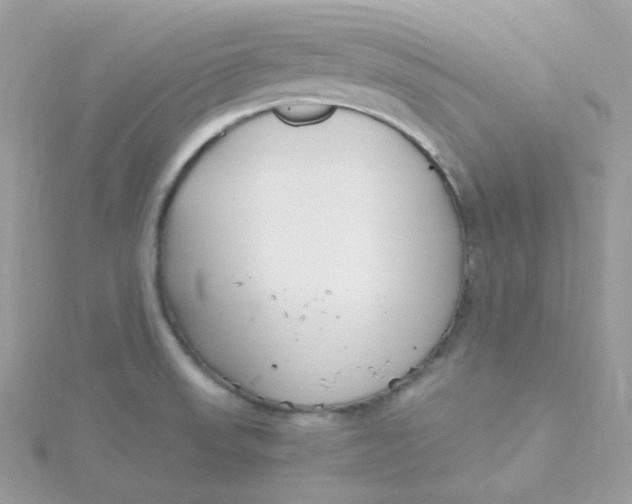 X0000115481523200911271318