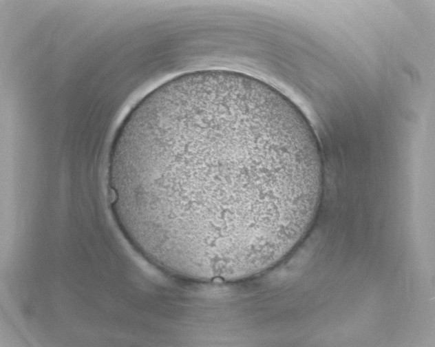 X0000115481525200911271318