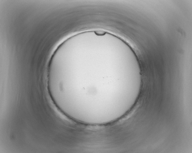 X0000115481526200911271318