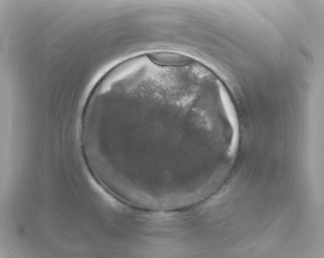 X0000115481527200911271318