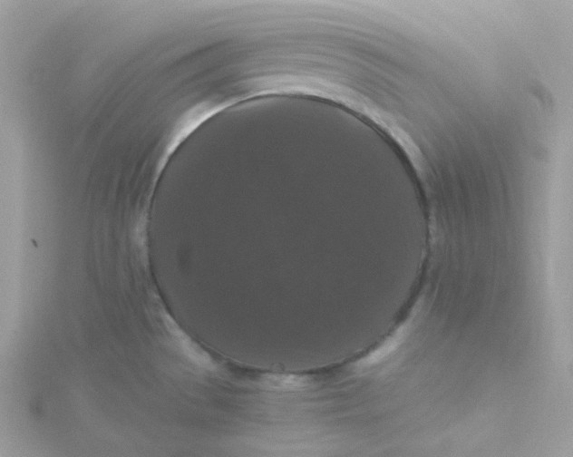 X0000115481529200911271318