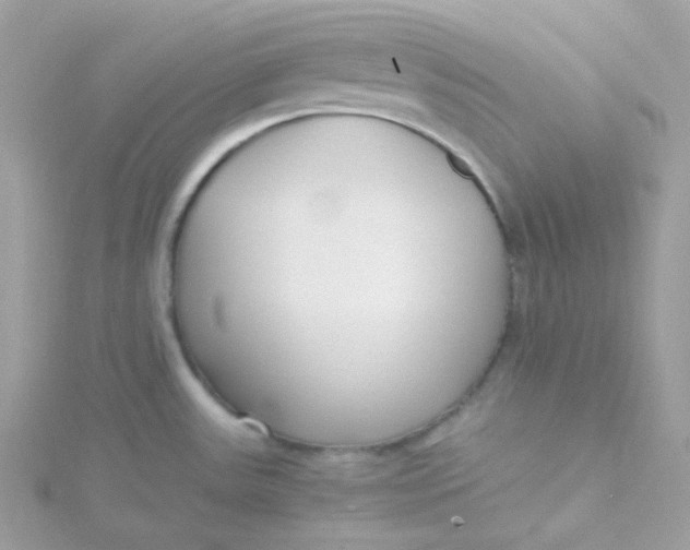 X0000115481531200911271318