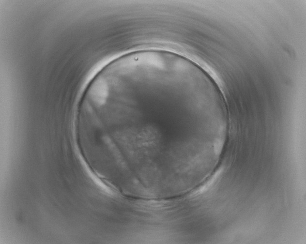 X0000115481533200911271318