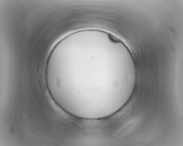 X0000115481534200911271318