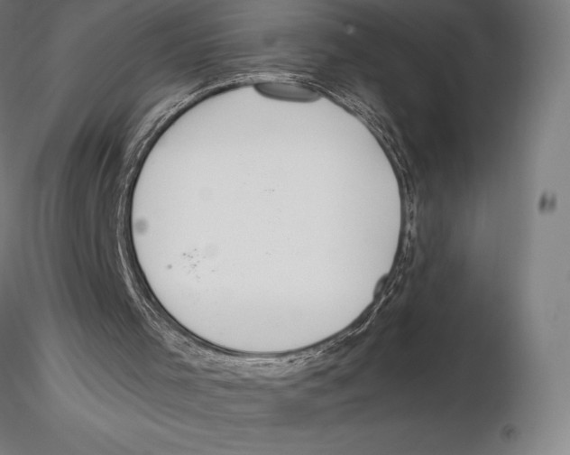 X0000115480001200912041004