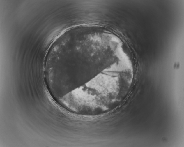 X0000115480002200912041004