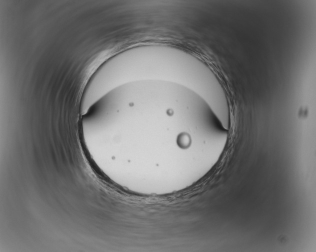 X0000115480003200912041004