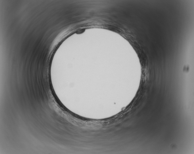 X0000115480004200912041004