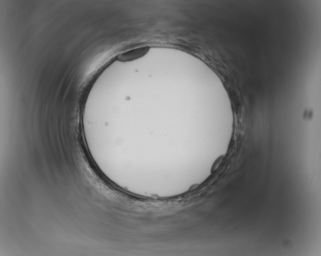 X0000115480005200912041004