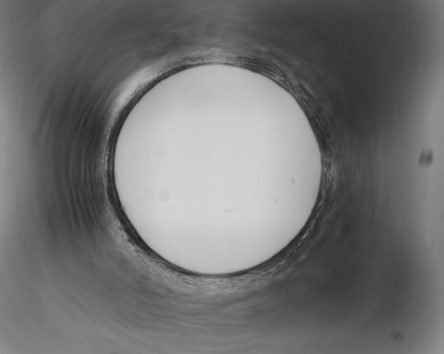 X0000115480006200912041004