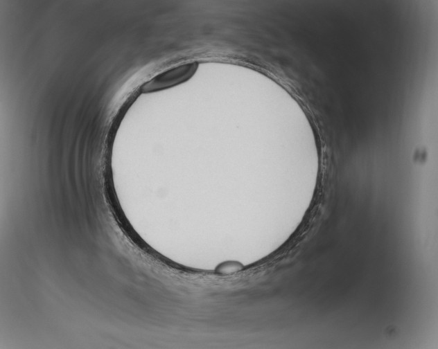 X0000115480007200912041004