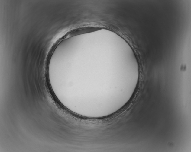 X0000115480008200912041004