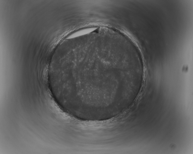 X0000115480009200912041003